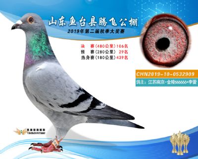 2019鱼台腾飞106