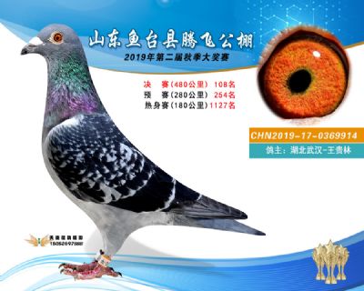 2019鱼台腾飞108