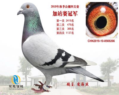 威力慧能加站赛冠军