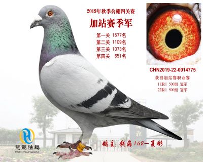 威力慧能加站赛季军