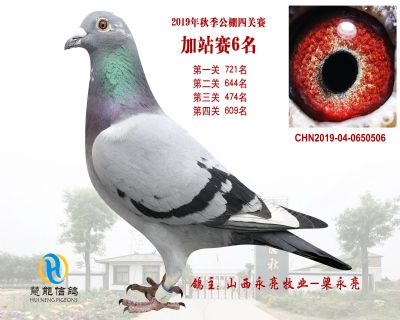 威力慧能加站赛6名