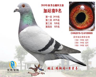 威力慧能加站赛9名