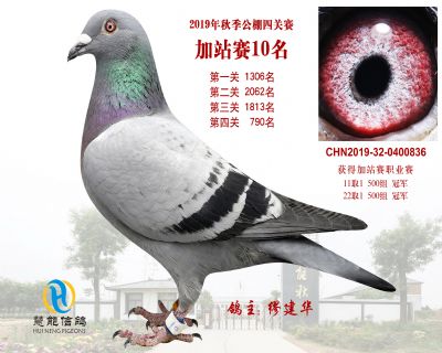威力慧能加站赛10名