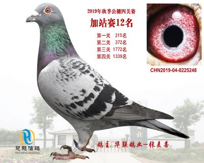 威力慧能加站赛12名