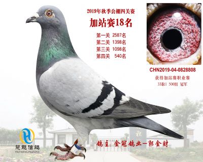 威力慧能加站赛18名