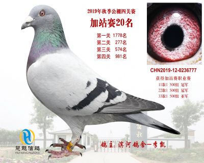 威力慧能加站赛20名