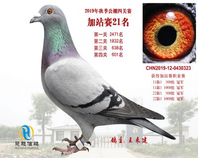 威力慧能加站赛21名