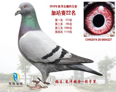 威力慧能加站赛22名