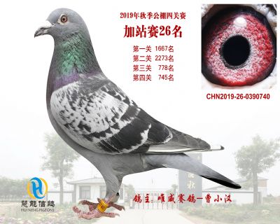 威力慧能加站赛26名