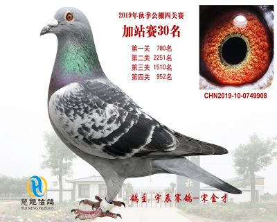 威力慧能加站赛30名