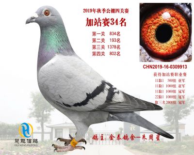 威力慧能加站赛34名