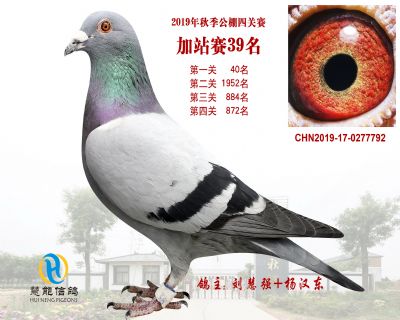 威力慧能加站赛39名