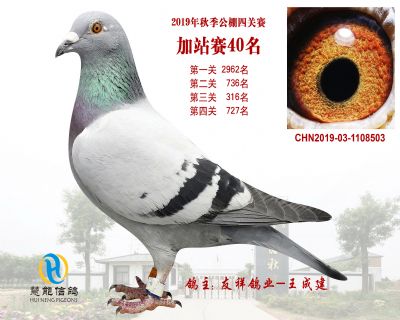 威力慧能加站赛40名