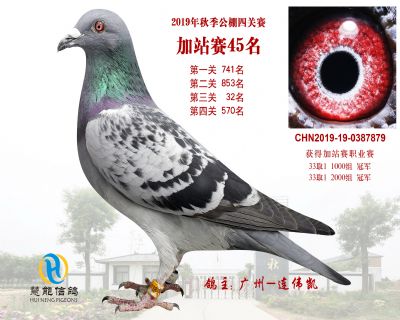 威力慧能加站赛45名
