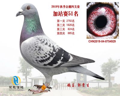 威力慧能加站赛51名