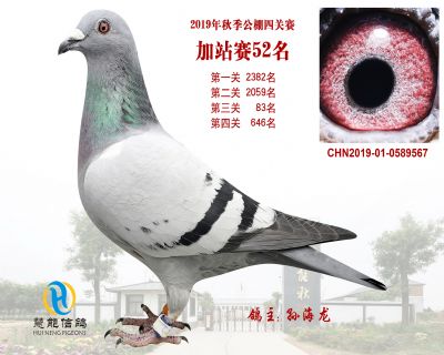 威力慧能加站赛52名