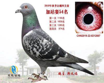 威力慧能加站赛54名