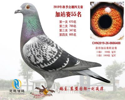 威力慧能加站赛55名