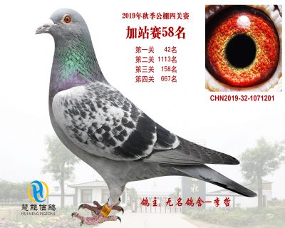 威力慧能加站赛58名