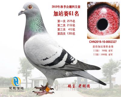 威力慧能加站赛61名