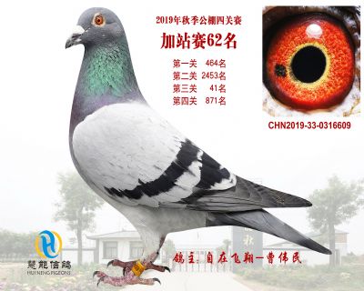 威力慧能加站赛62名