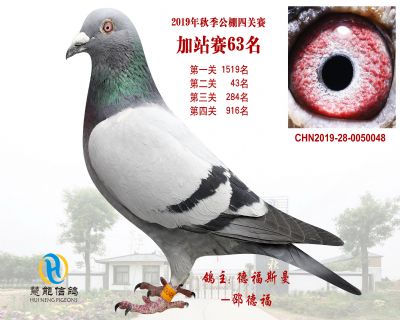 威力慧能加站赛63名