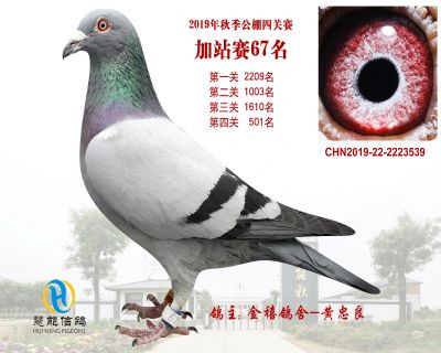 威力慧能加站赛67名