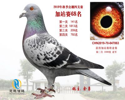 威力慧能加站赛68名