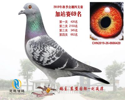 威力慧能加站赛69名