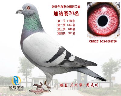 威力慧能加站赛70名