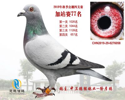 威力慧能加站赛77名