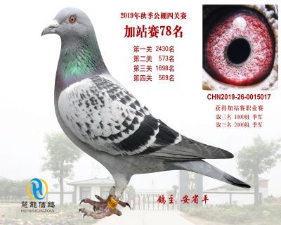 威力慧能加站赛78名