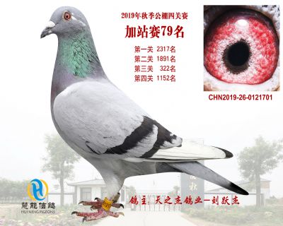 威力慧能加站赛79名