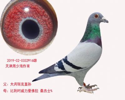 大兵瑞克x桑杰士