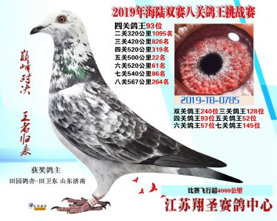 四關鴿王93名 五關鴿王52 六關鴿王5