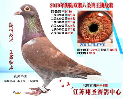 四關鴿王91名 567公里61名