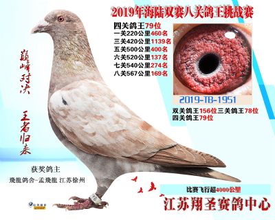 四關鴿王79名 三關鴿王78名
