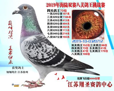 四關鴿王73名 五關鴿王61 六關鴿王4