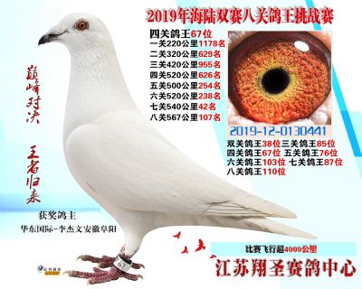 四關鴿王67名 五關鴿王76 七關鴿王8