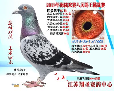 四關鴿王57名 五關鴿王66 精英賽46