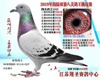 四關鴿王39名 五關鴿王32 六關鴿王4