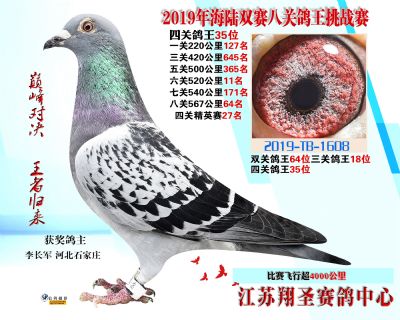 四關鴿王35名 三關鴿王18 精英賽27