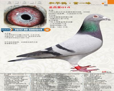本舍三個黃金配對家族融為一身,首次作育直接作出公棚決賽149