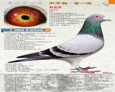 高輩分蓋比×高輩分德拉帕(此家族在本舍立下汗馬功勞)