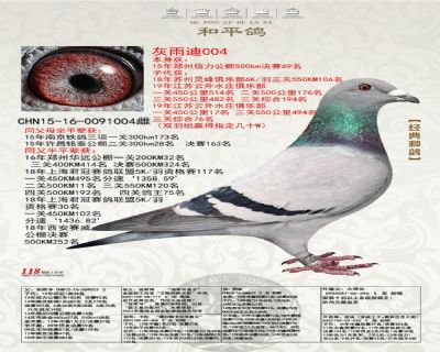 本身鄭州信力公棚決賽69名(德拉帕×所向無敵)