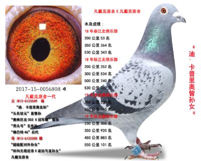 凡戴克所向无敌近亲