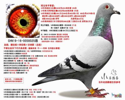 17年津福公棚178名同父母