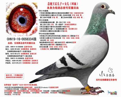 甘纳斯总统号双重回血