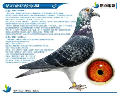 噶斯頓-魅影小子33