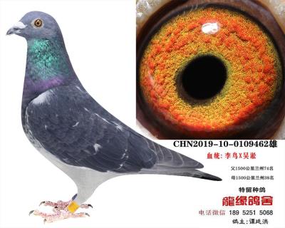 李鳥吳淞1